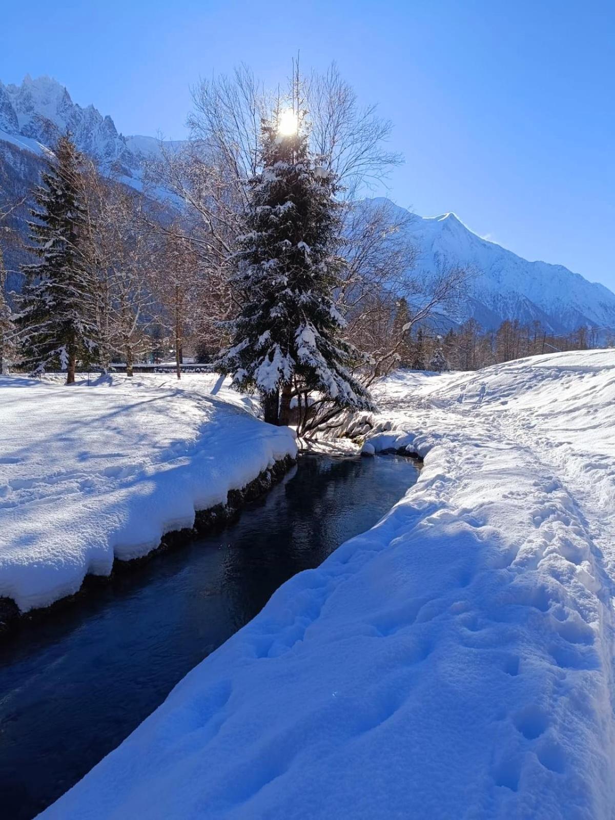 Appartement Chamonix Montblanc 1 A 4 Personnes Buitenkant foto